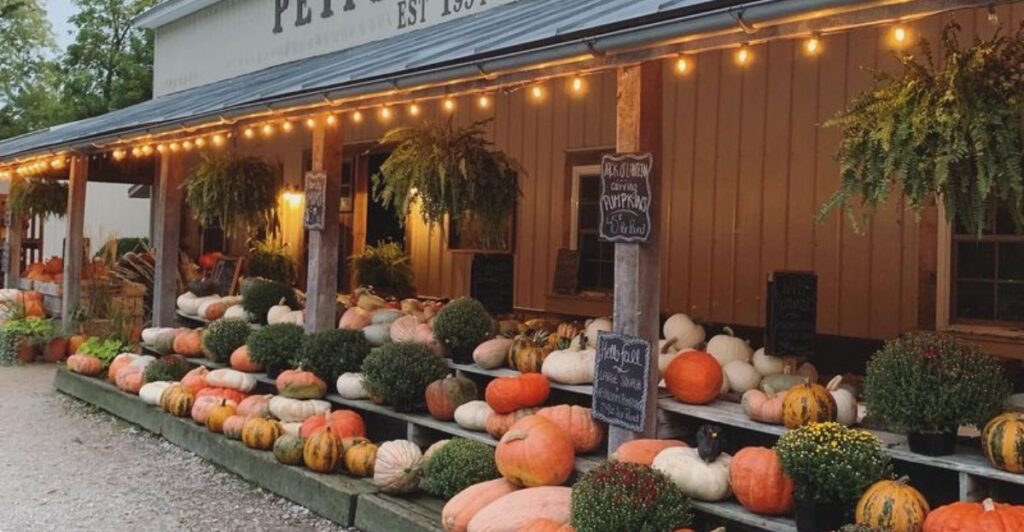 12 Ohio Orchard Country Trips That Are Perfect For A Relaxing October Weekend