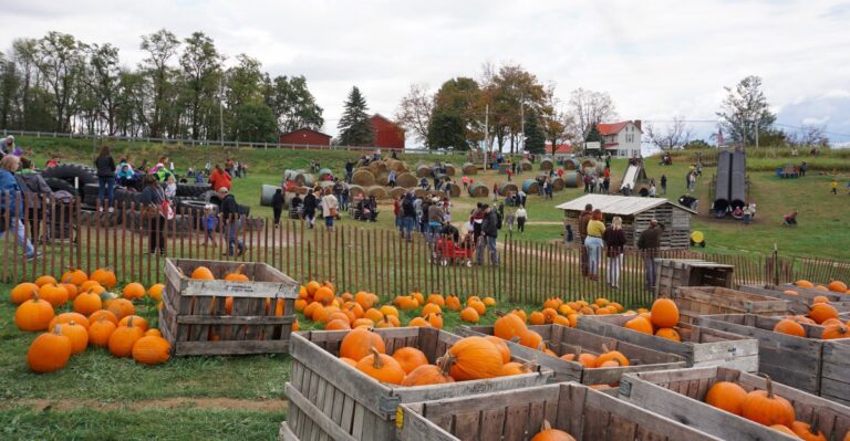 12 Ohio Pumpkin Farms Worth A Trip When You’re Craving Fall Fun