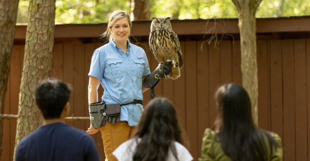 12 Places in North Carolina Where Animal Lovers Can Volunteer and Help