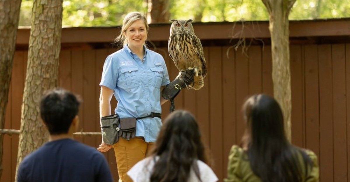 12 Places in North Carolina Where Animal Lovers Can Volunteer and Help