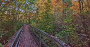 12 Short New Jersey Boardwalk Trails Through Forests, Marshes, and Dunes