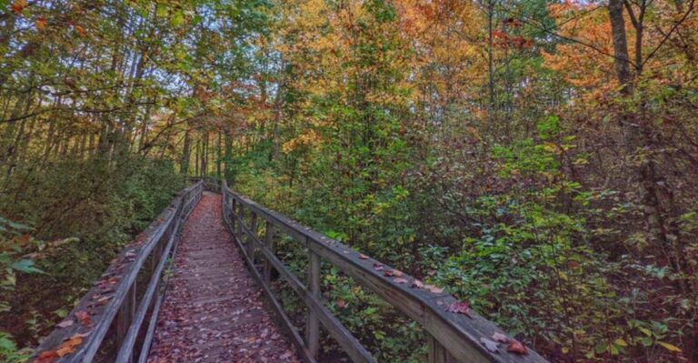 12 Short New Jersey Boardwalk Trails Through Forests, Marshes, and Dunes