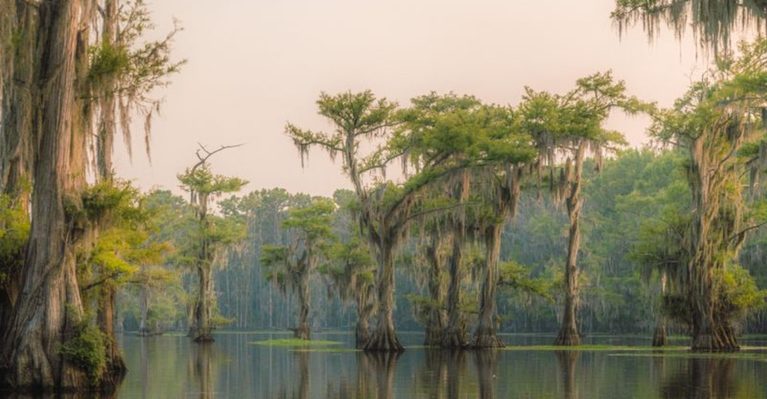 12 Texas Day Trips So Good You Won’t Believe You Did Them in a Single Day