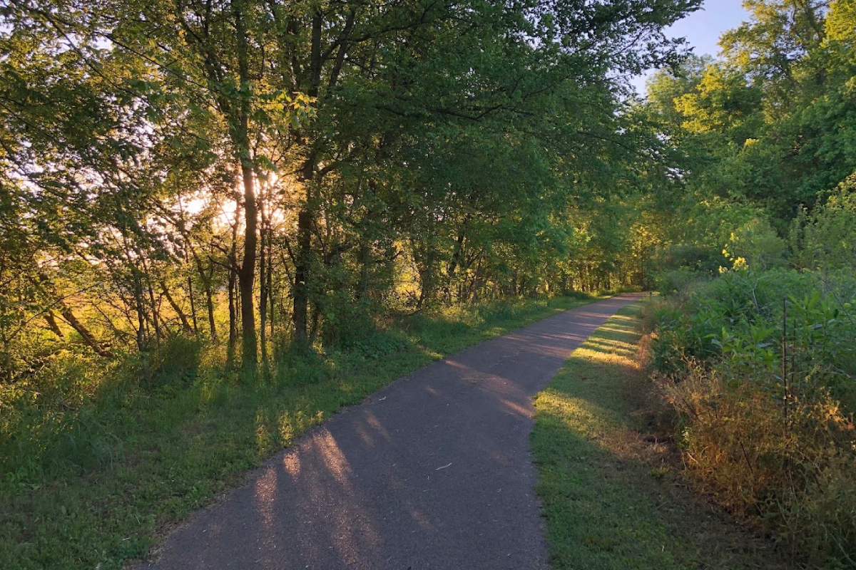 13 Easy Tennessee Bike Trails With Big Views and Beginner-Friendly Rides