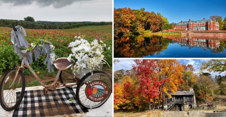 13 Illinois Fall Day Trips That Deliver Big Fun Without Breaking The Bank