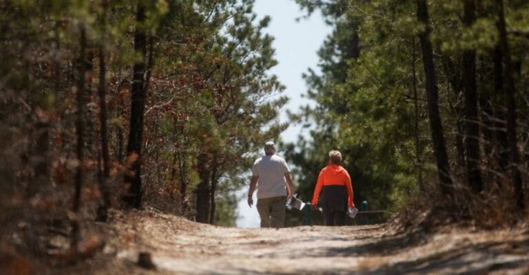 13 New Jersey Hikes And Walking Trails With the Biggest Views for the Least Effort