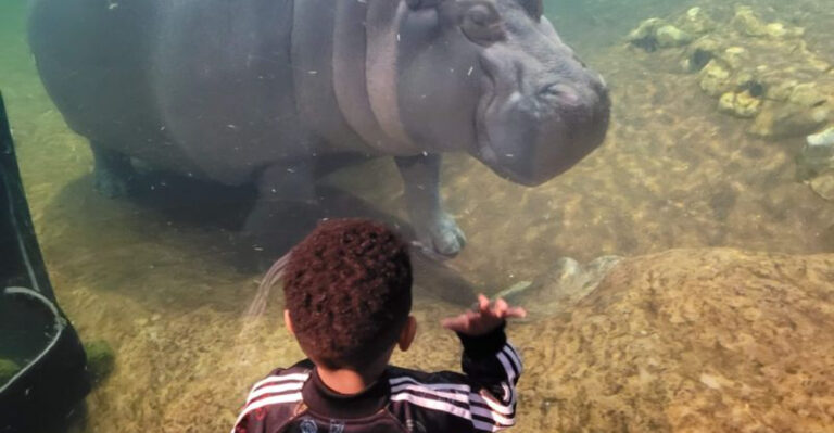 13 New Jersey Places That Make You Feel Like A Kid Again