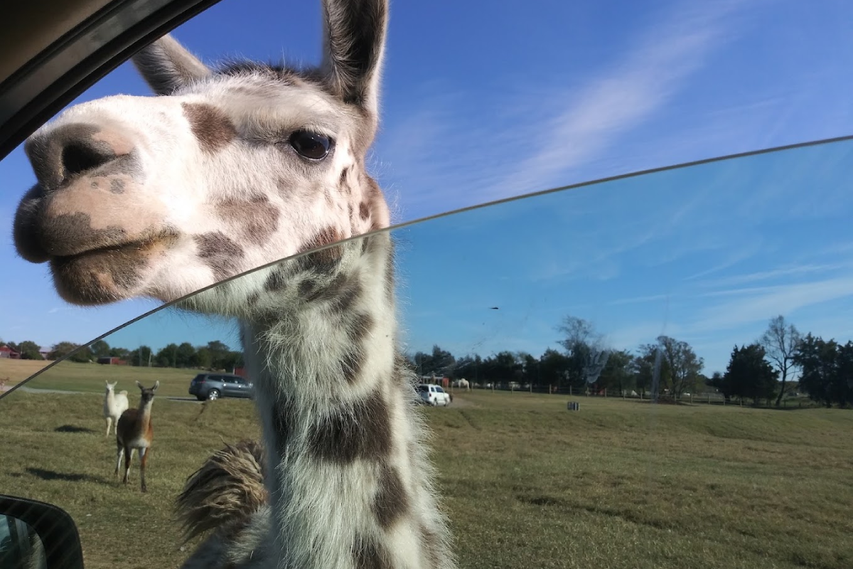 14 Unforgettable Tennessee Experiences That Cost Less Than $30
