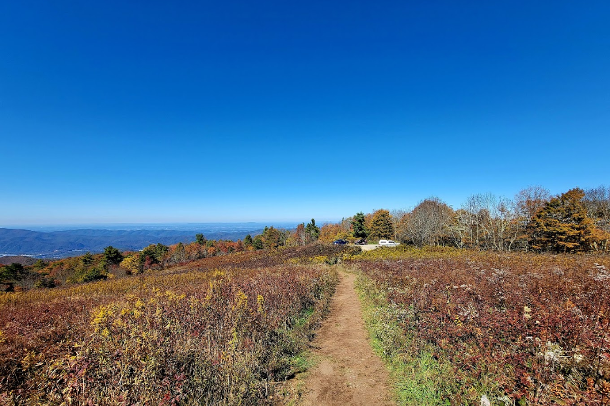 15 Incredible Tennessee Attractions That Have Nothing To Do With Nashville