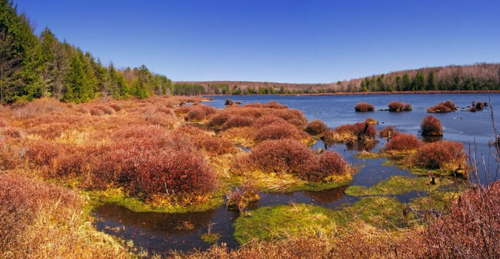 17 Pennsylvania Camping Spots That Will Have You Wishing For One More Night