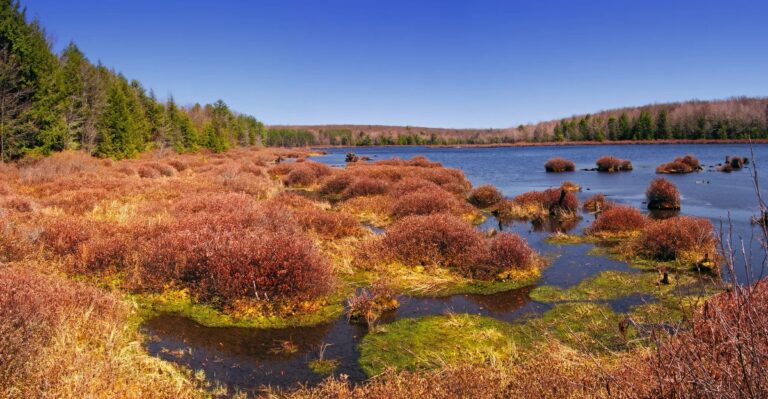 17 Pennsylvania Camping Spots That Will Have You Wishing For One More Night