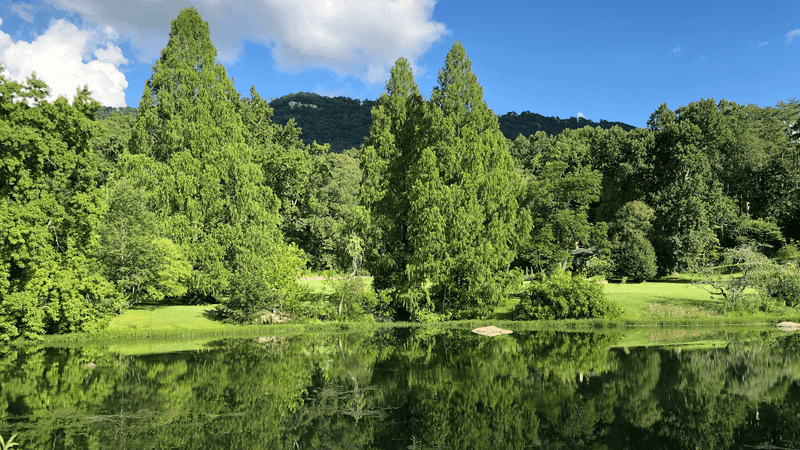 Reflection Riding Arboretum & Nature Center – Chattanooga Reflection Riding Arboretum & Nature Center – Chattanooga