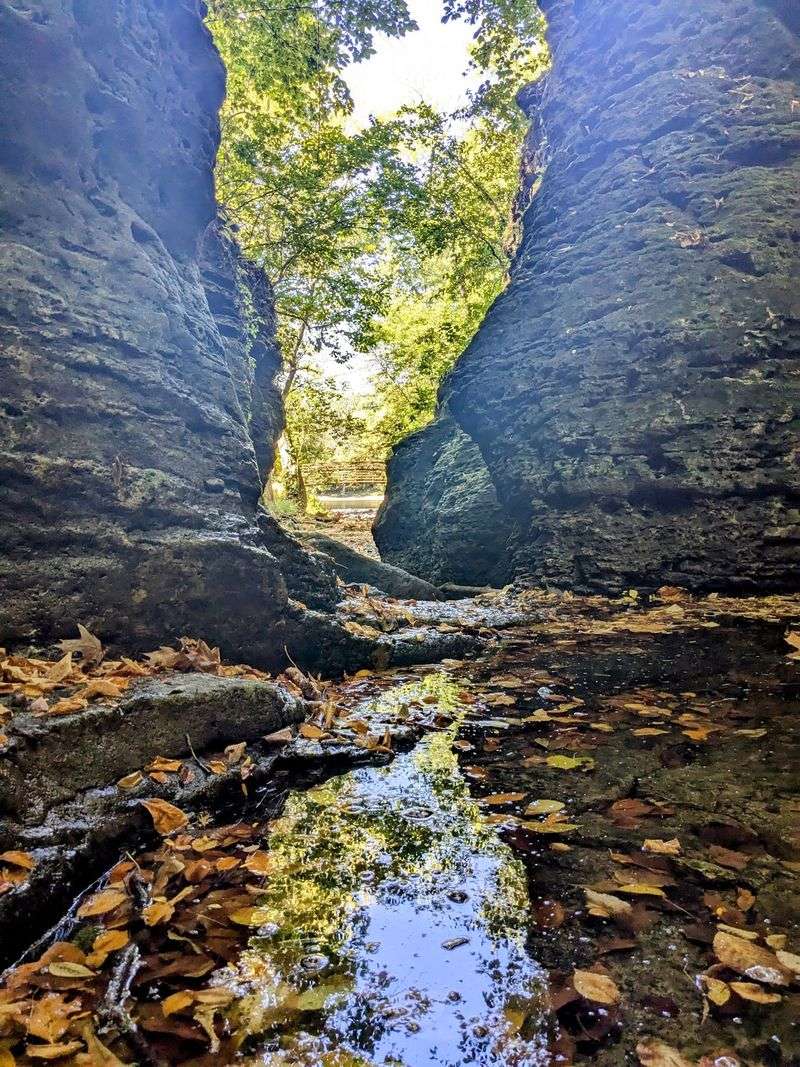 Where Illinois Gets a Little Wilder by the River Where Illinois Gets a Little Wilder by the River