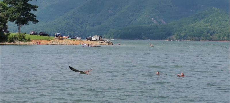 Watauga Point Recreation Area – Hampton