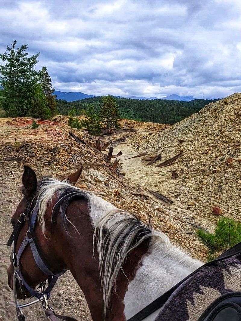 Why The Prospector Fantasy Actually Works Here Why The Prospector Fantasy Actually Works Here
