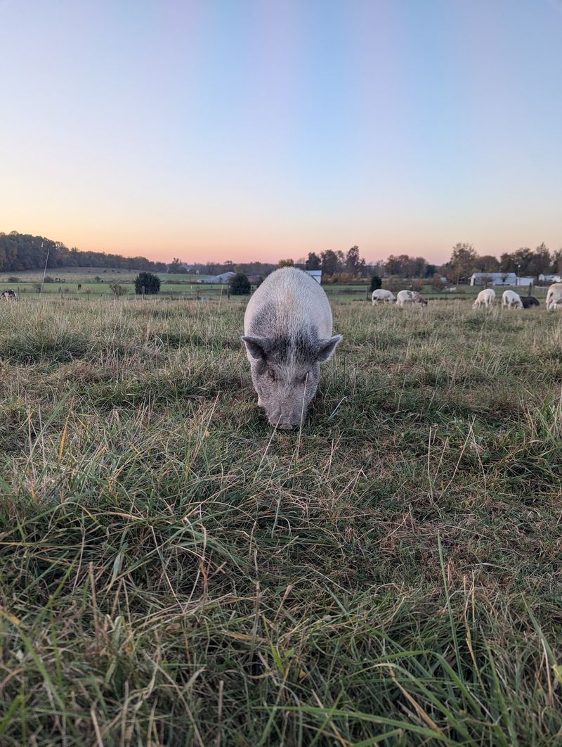 Why This Indiana Sanctuary Works So Well In Its Setting Why This Indiana Sanctuary Works So Well In Its Setting