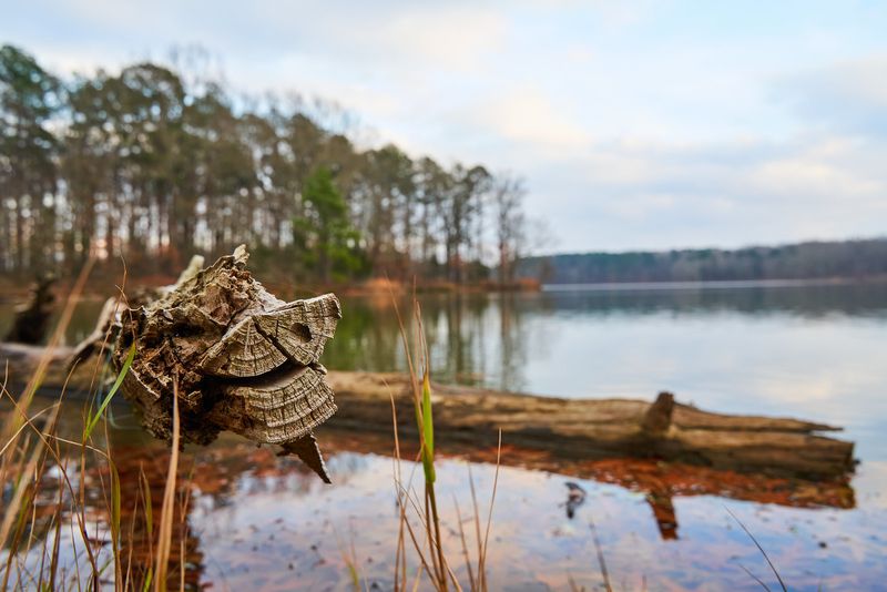 Herb Parsons Lake - Eads Herb Parsons Lake - Eads