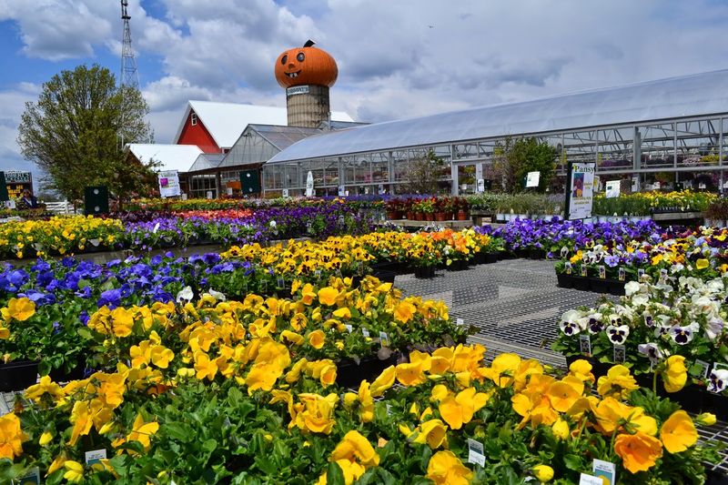 Smart Planning for a Day at Goebbert's South Barrington