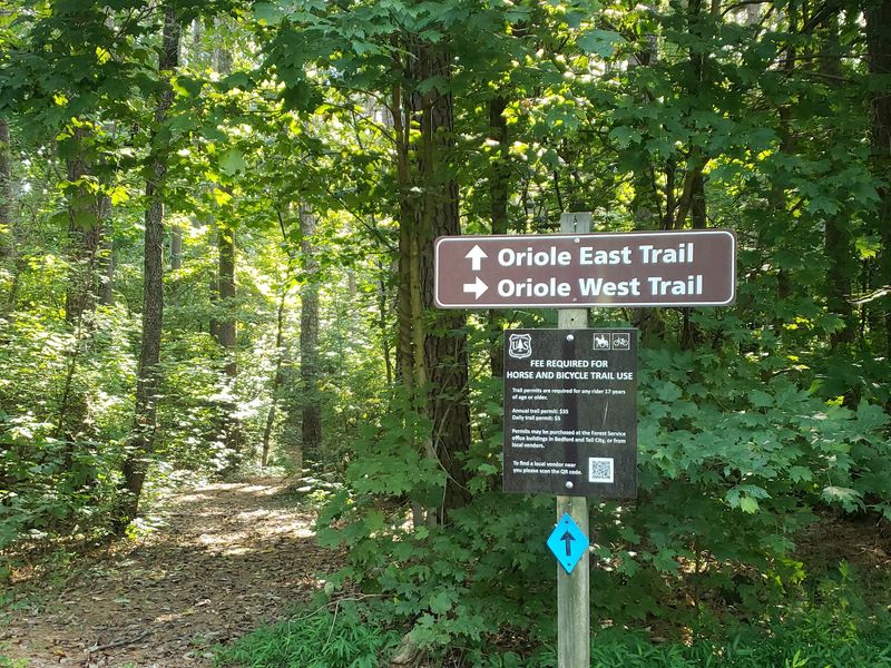 Oriole Trail East (Derby)