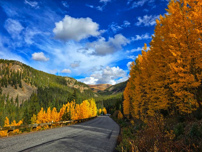Guanella Pass Scenic Byway (Georgetown)