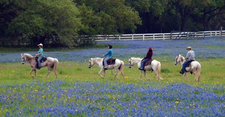 7 Texas Dude Ranches Where You Can Ride Horses And Sleep Beneath The Stars