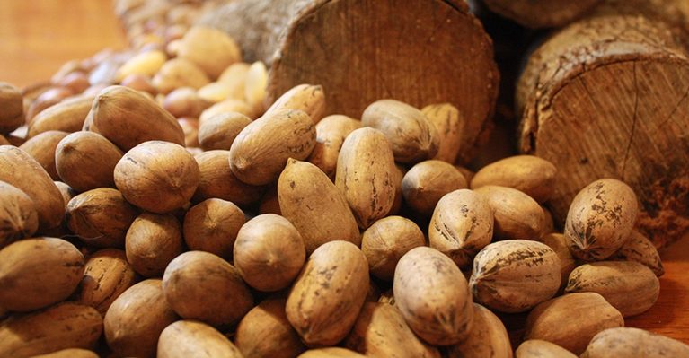 7 Texas Pecan Farms And Shops Worth The Drive This Fall