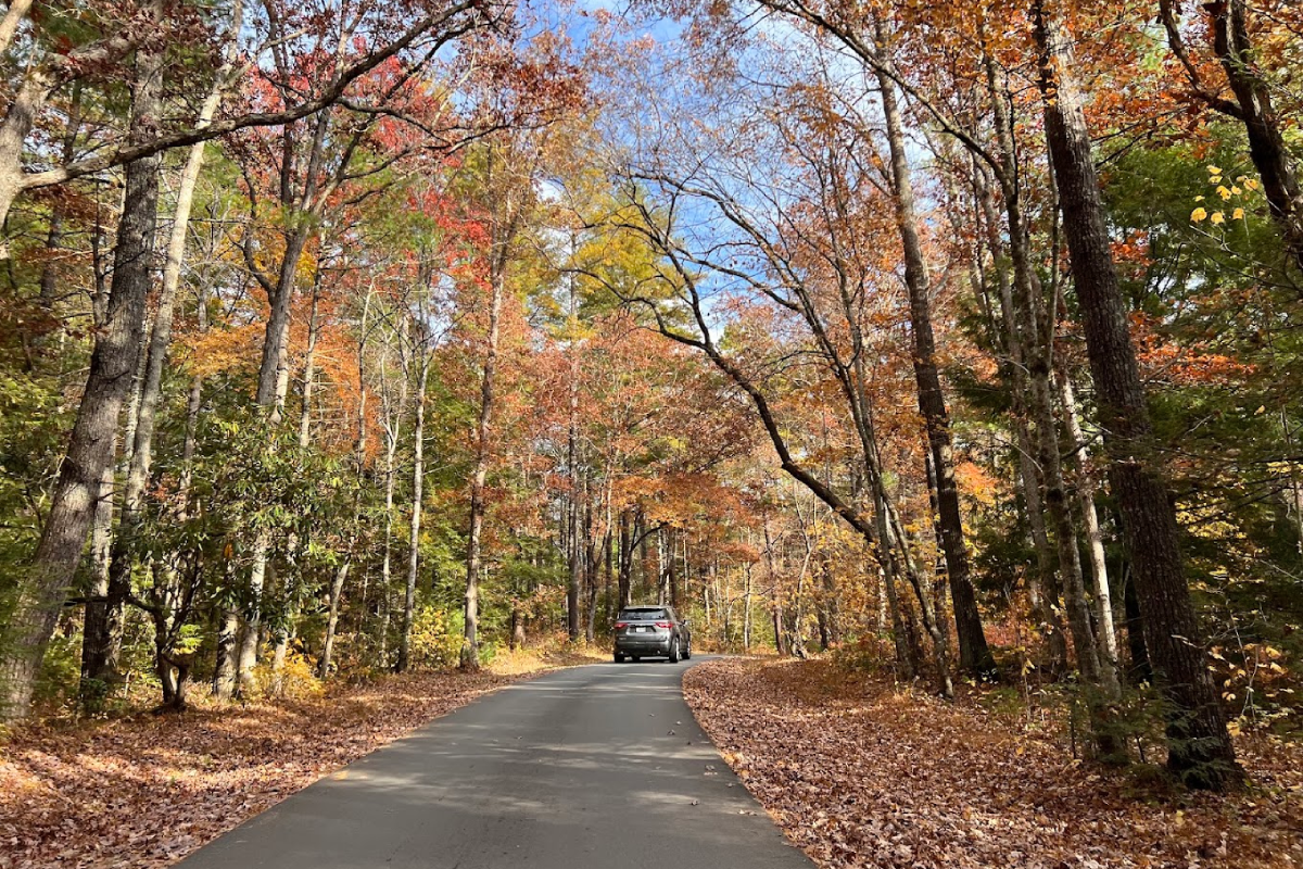 8 Accessible Tennessee Places for Seniors to Enjoy Peak Fall Color