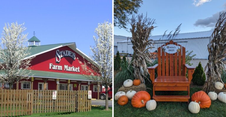 8 Illinois Farm Stands To Visit Before Sweet Corn Season Slips Away