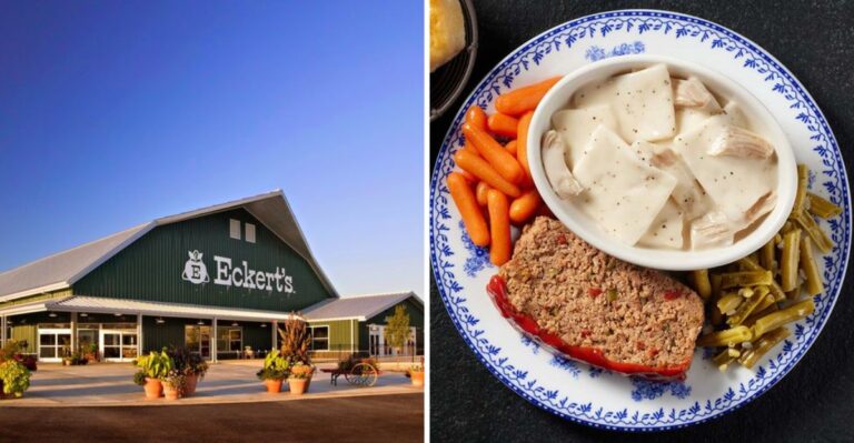 8 Illinois Restaurants Where Chicken And Dumplings Still Taste Like Home