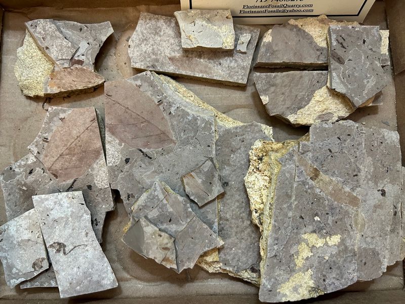 Digging Smart in Colorado Granite Country Digging Smart in Colorado Granite Country