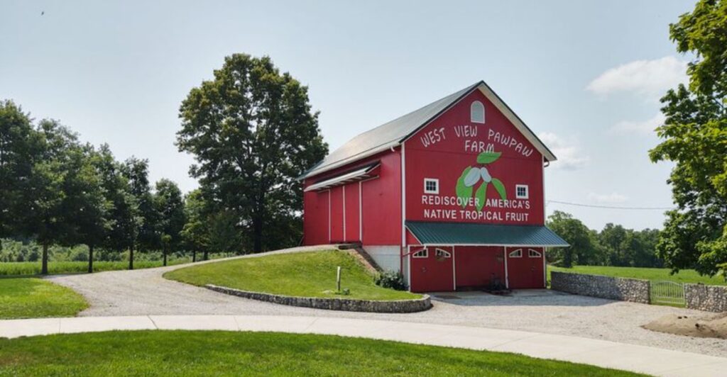 8 Ohio Pawpaw Dessert Stops That Make September Taste Uniquely Ohio