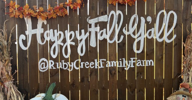 8 Texas Fall Activities That Make the Season Feel Extra Special