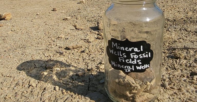 8 Texas Fossil Hunting Spots Where Ancient Treasures Are Still Waiting