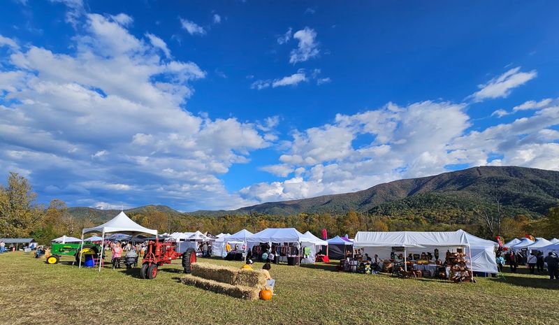 Stunning Mountain Backdrop That Steals the Show