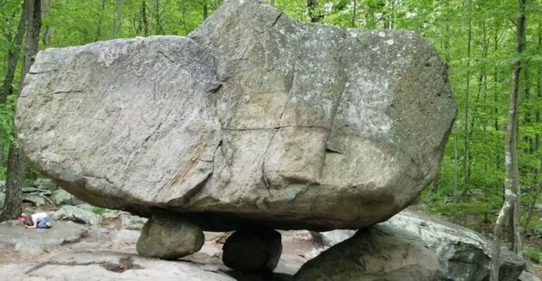 9 New Jersey Parks With Unusual Natural Features Near the Trailhead