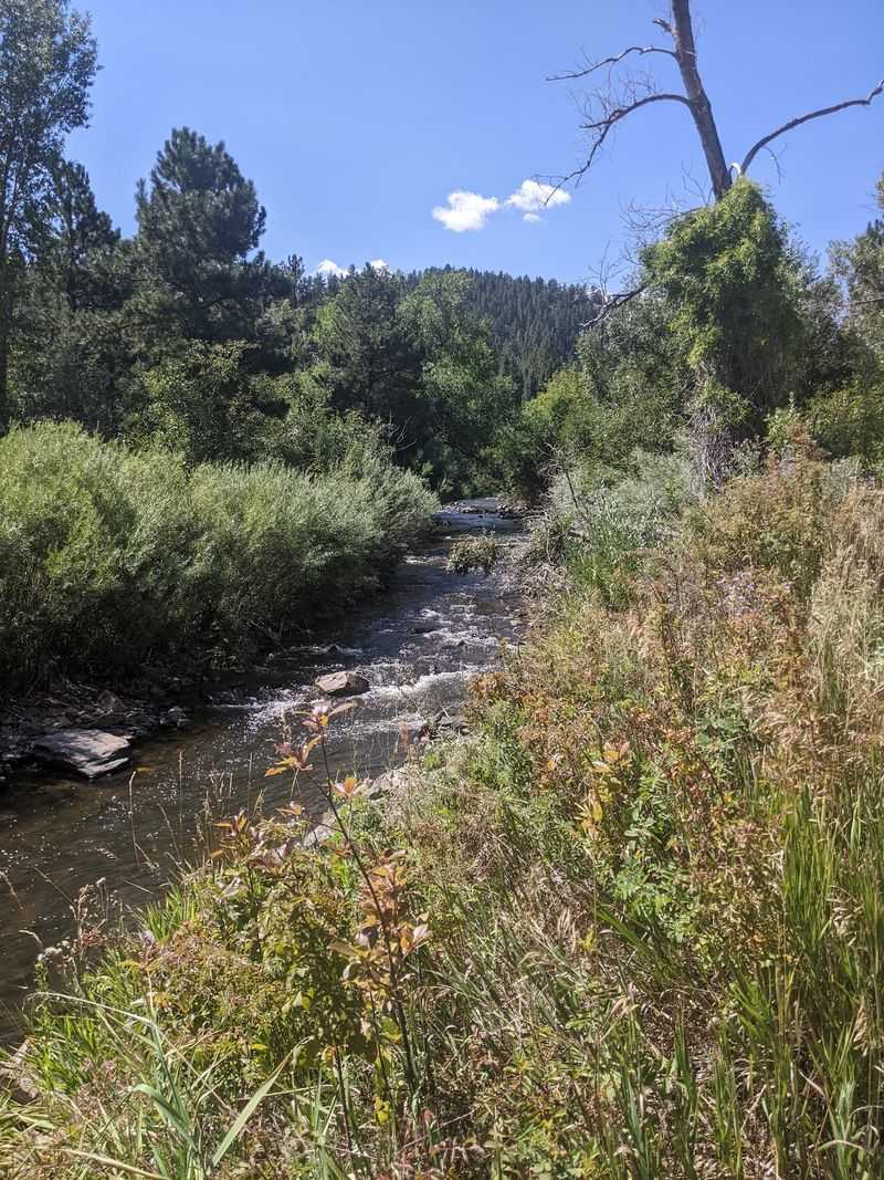 Bear Creek Trail at Lair O’ the Bear Park (Morrison) Bear Creek Trail at Lair O’ the Bear Park (Morrison)