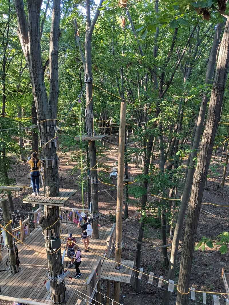 A Canopy Course That Starts With a Real Sense of Height