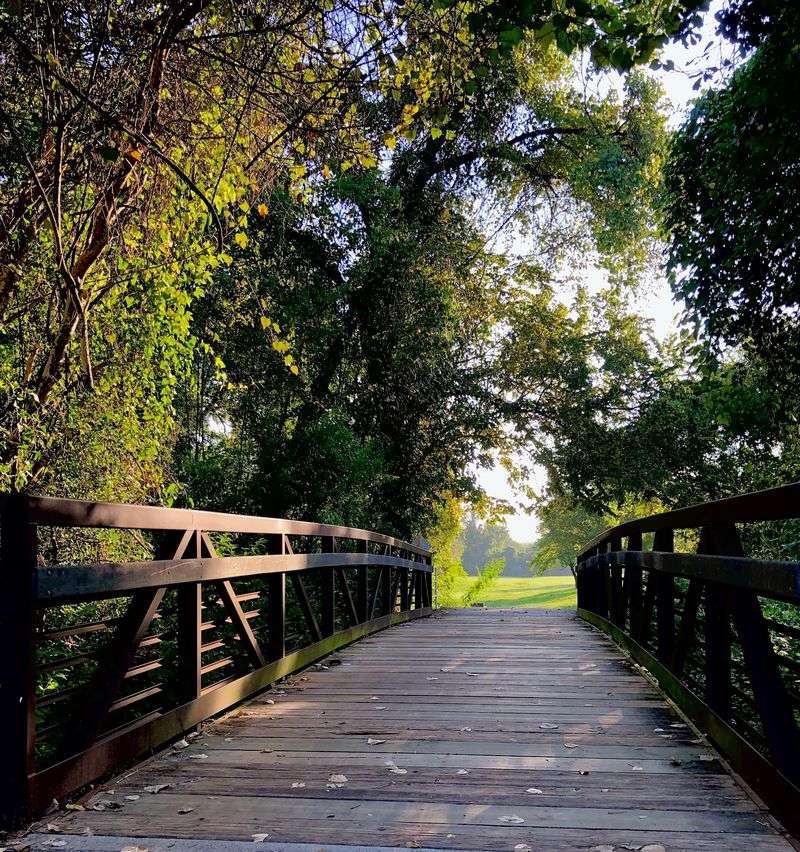 A City Oasis That Tricks Your Brain