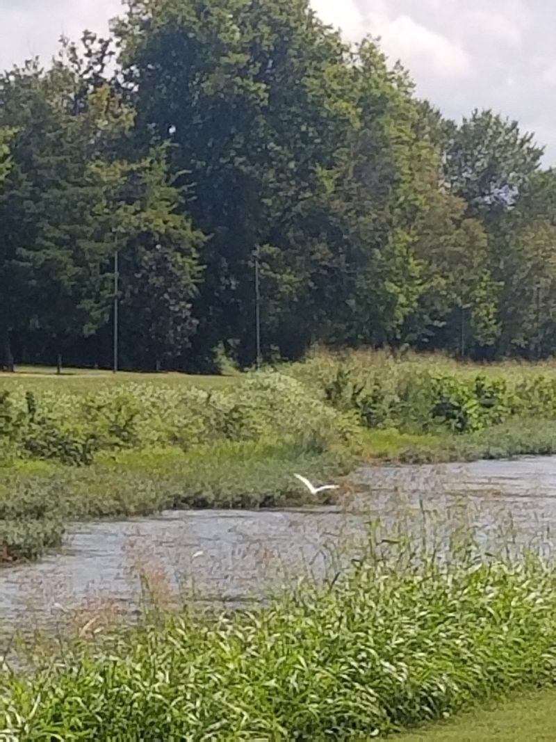 A Community Gathering Spot Without the Crowds