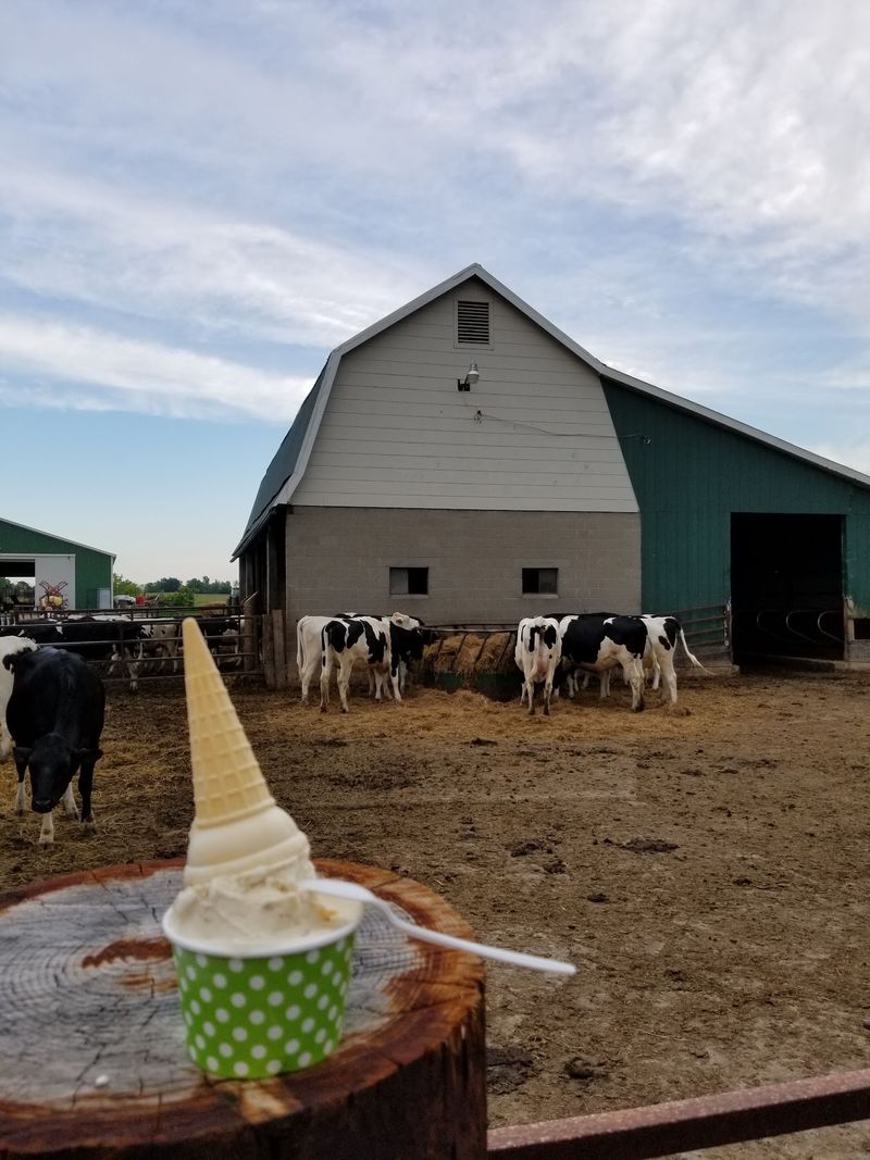 A Cone With a Real Farm Behind It A Cone With a Real Farm Behind It