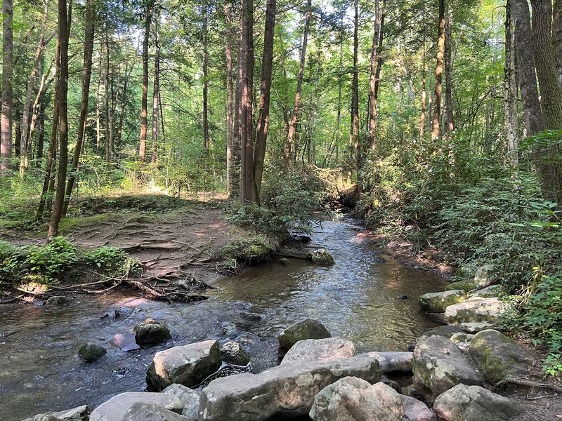 A Creek-Side Journey Worth Savoring A Creek-Side Journey Worth Savoring