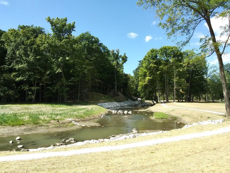 A Dedicated Dog Park Where Pups Run Free A Dedicated Dog Park Where Pups Run Free