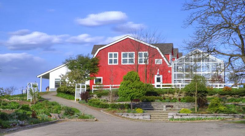 A Farm Scene Right Off Square Lake Road