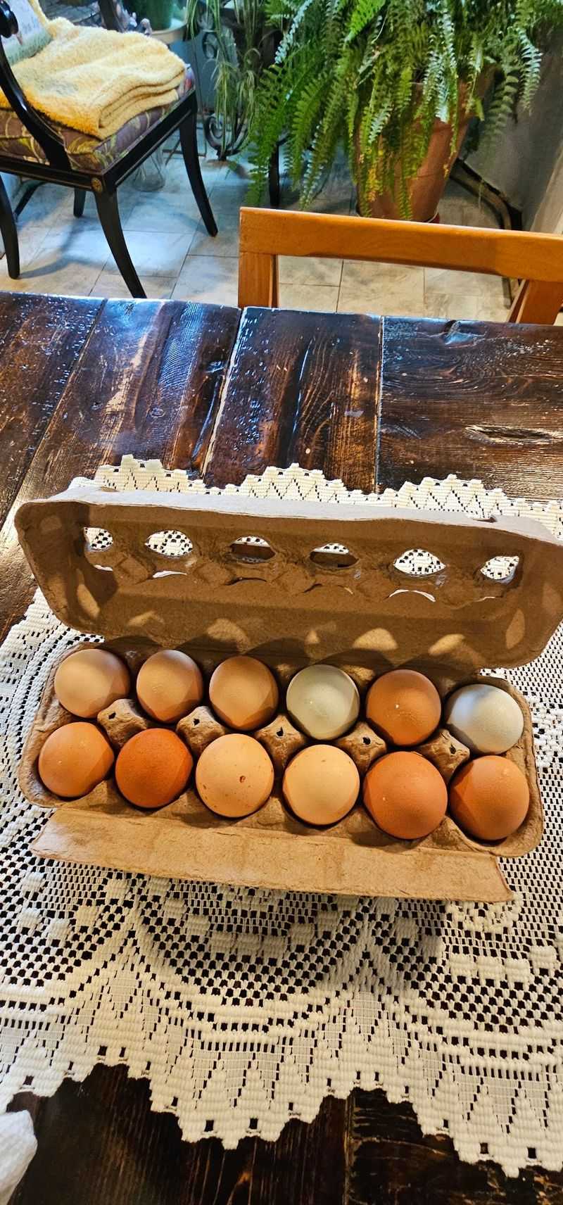A Farm Store Stocked With Meat and Colorful Eggs