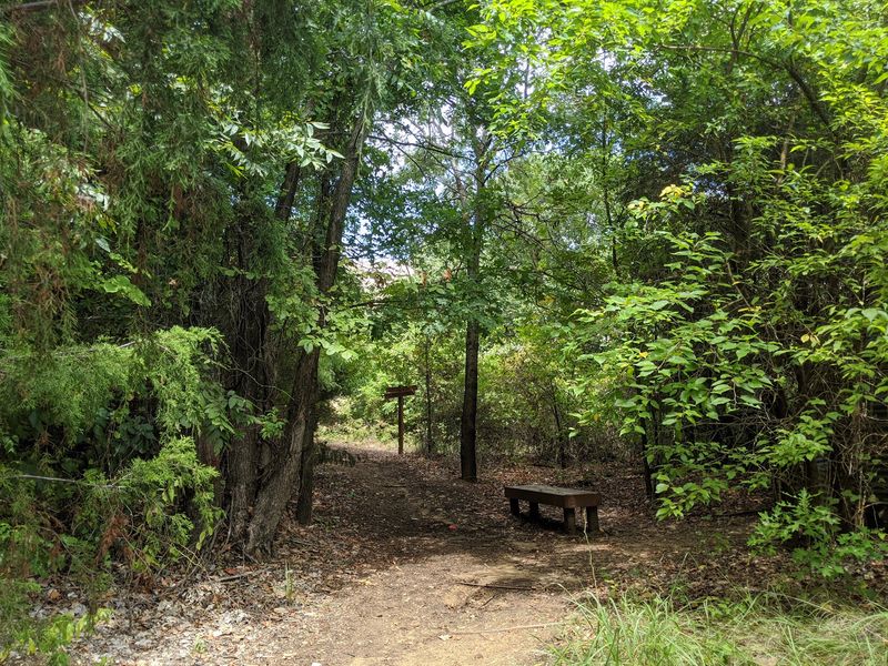 A Forest Hiding Behind the Ball Fields