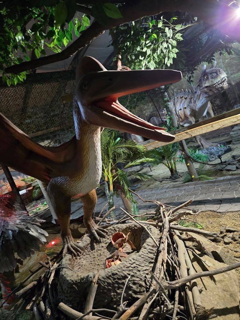 A Fossil Sandbox For Little Treasure Hunters A Fossil Sandbox For Little Treasure Hunters