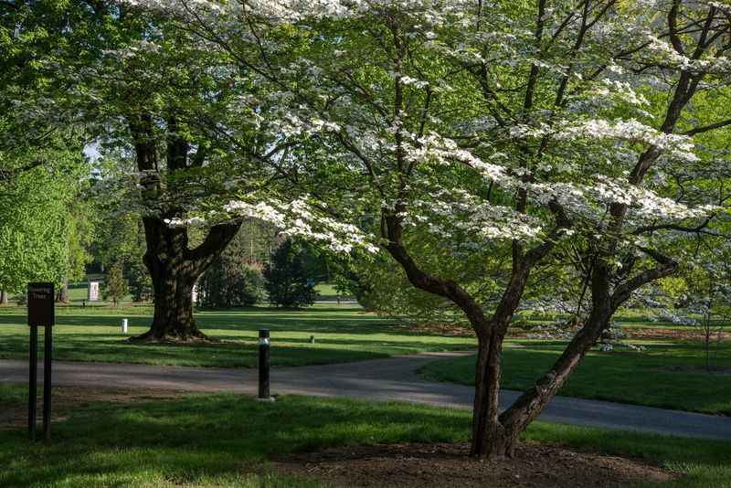 A Free Green Escape In The City