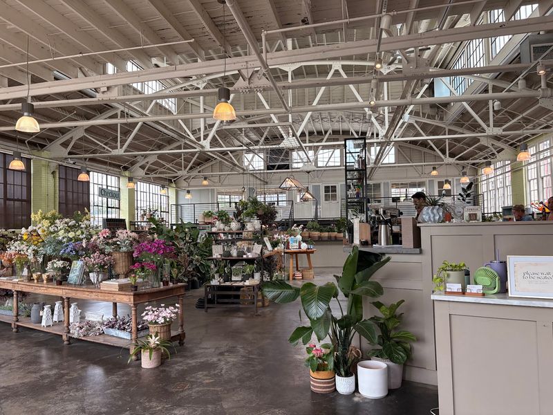 A Greenhouse Feeling In The Heart Of St. Louis A Greenhouse Feeling In The Heart Of St. Louis