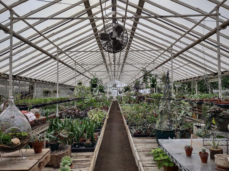A Greenhouse That Looks Layered, Lived-In, and Full of Discovery