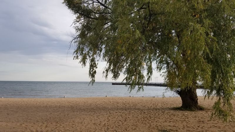 A Lake View That Changes the Whole Day A Lake View That Changes the Whole Day